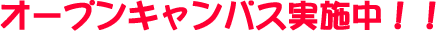 �I�[�v���L�����p�X���{��